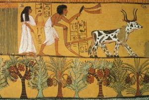 Vita quotidiana nell'Antico Egitto