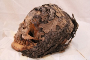 La testa della donna trovata ad Amarna (Egitto). Sono ben visibili le "extension"