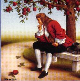 Newton mela