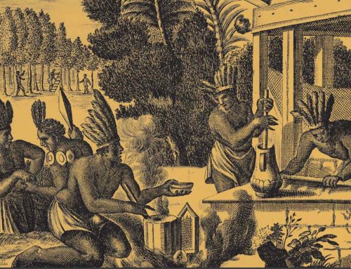 How cocoa was harvested in ancient times?