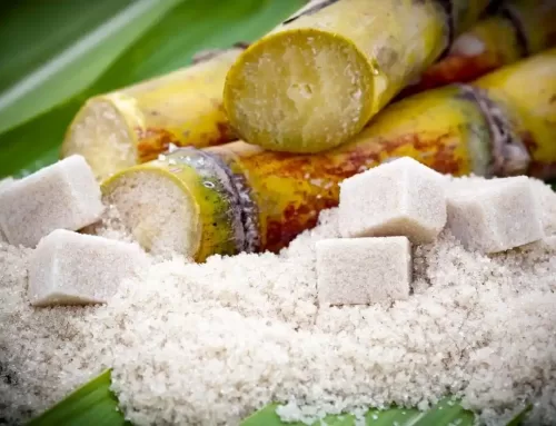Zucchero nel Medioevo: Zucker ging im Mittelalter weit über das Kochen hinaus