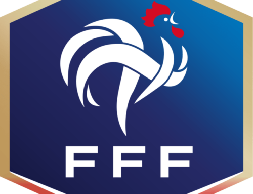 Campionato di Calcio Francese: come e quando nacque