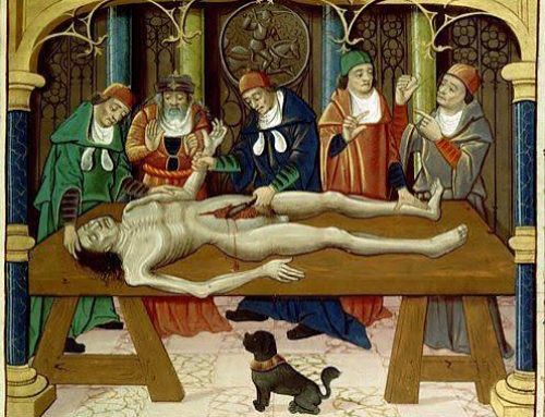 Autopsie e anatomia nel Rinascimento: il primo trattato di anatomia della storia